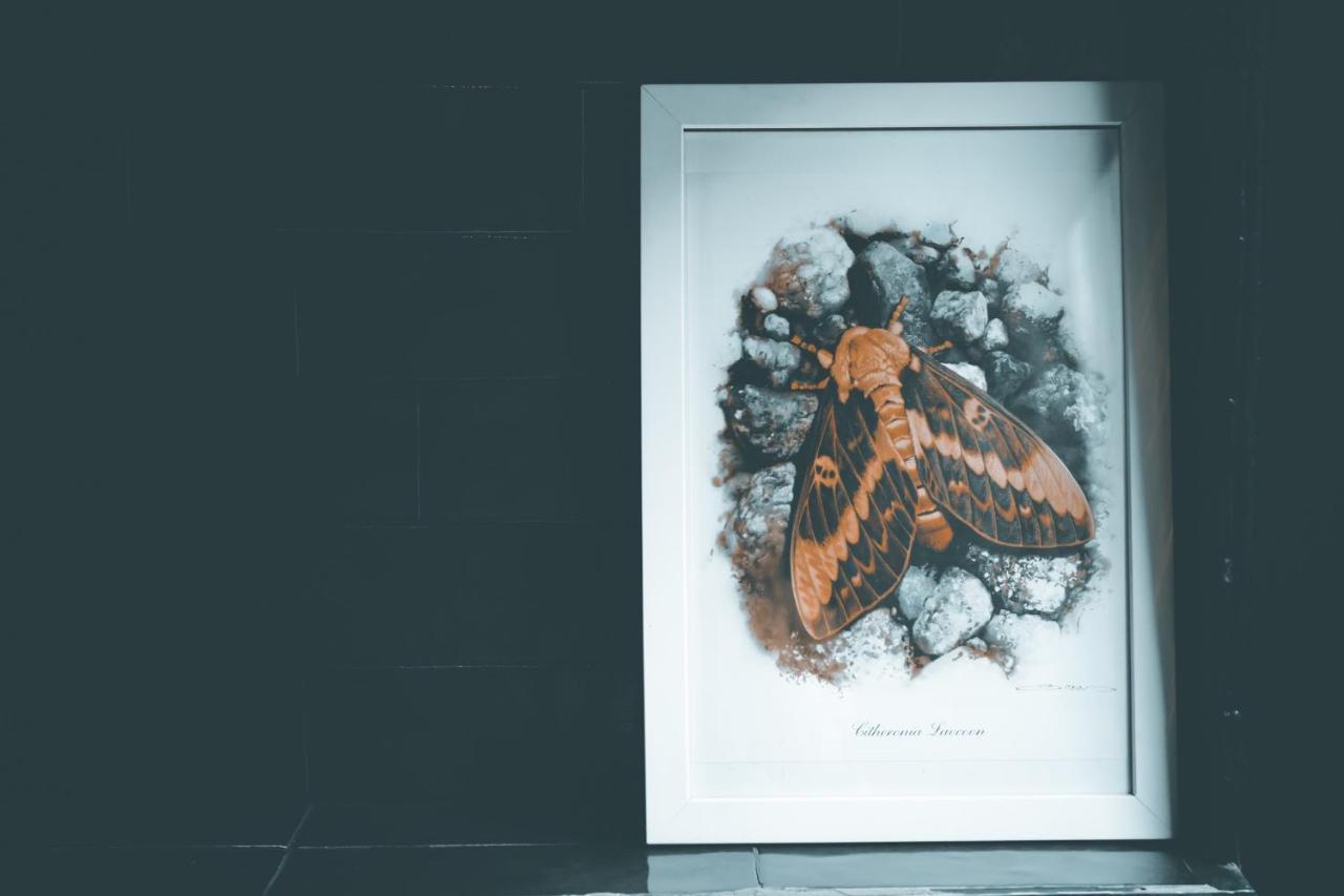 브뤼헤 Nocturne 아파트 외부 사진